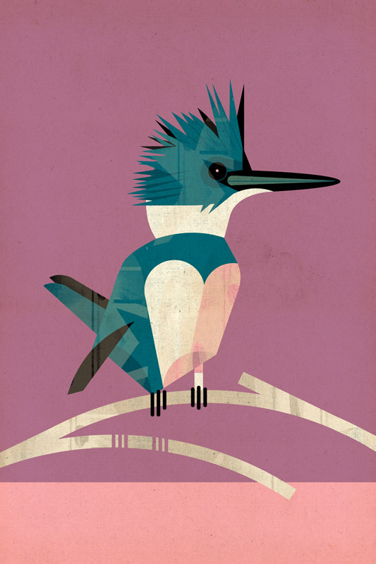 Kingfisher od Dieter Braun