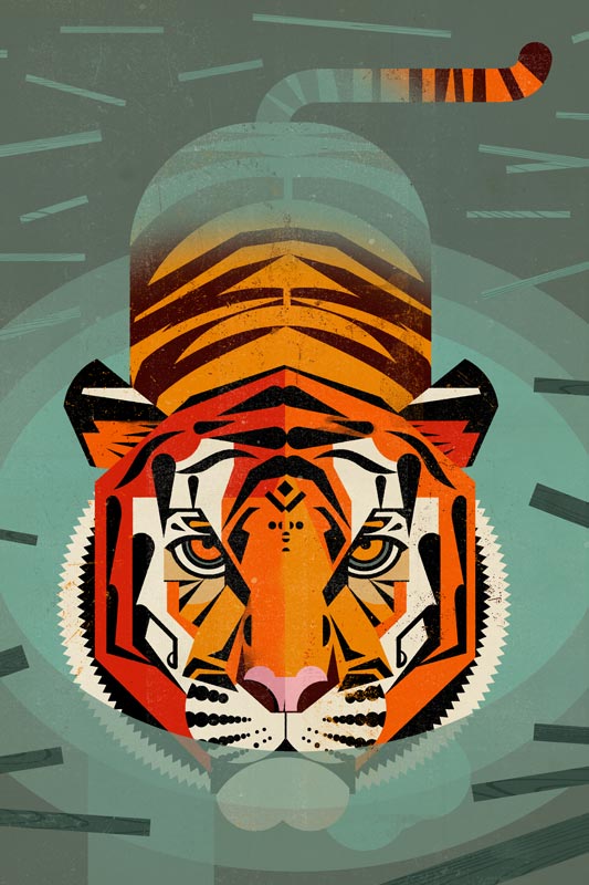 Tiger od Dieter Braun