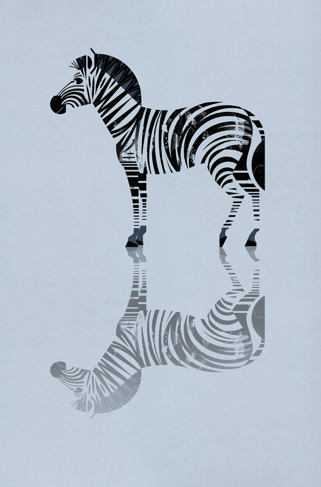 Zebra od Dieter Braun