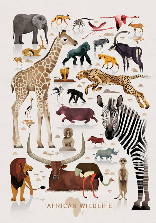 African Wildlife od Dieter Braun