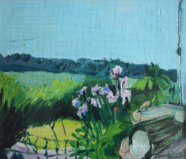 Irises in the Garden od Brenda Brin  Booker