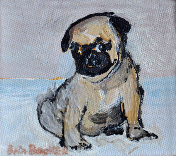 Vincent, the pug puppy od Brenda Brin  Booker