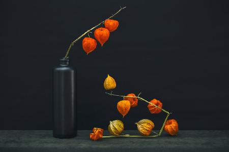 Still life with a branch of Physalis