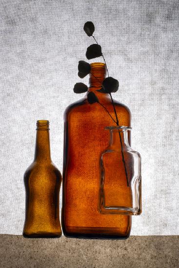 Still life with colored bottles and a dried twig