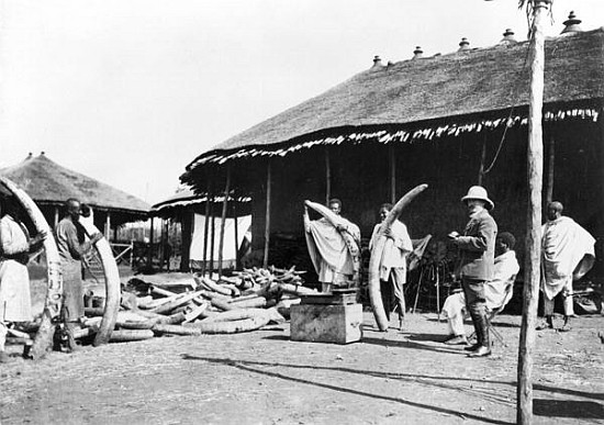 Ivory warehouses in Addis Abeba, Ethiopia, c.1900 ( b/w photo) od C. Chusseau-Flaviens