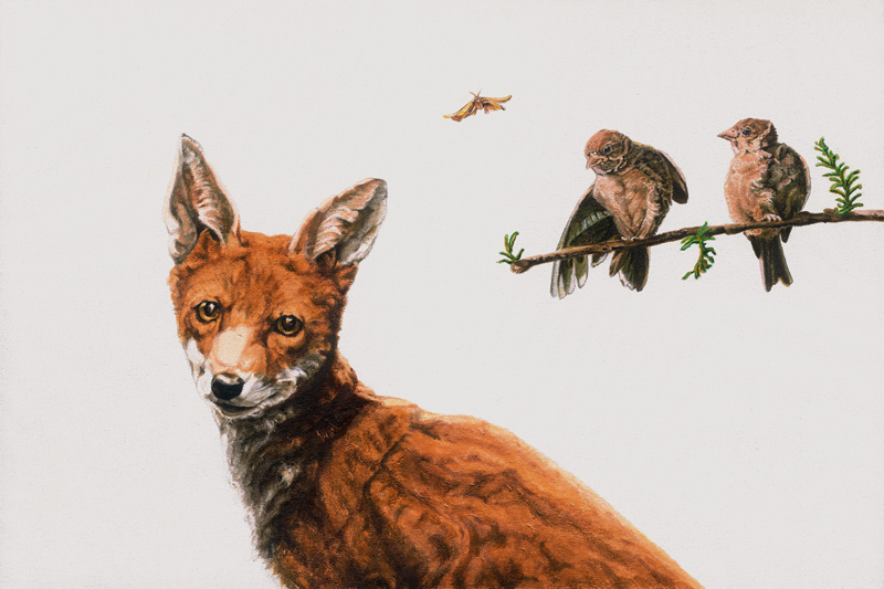Fox Birds od Maxine R. Cameron