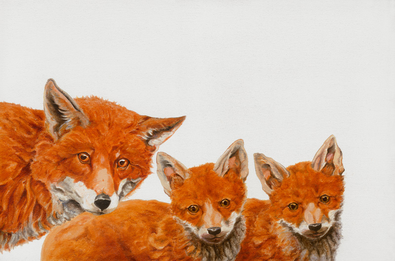 Meet the Foxes od Maxine R. Cameron