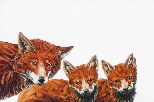Meet the Foxes 2 od Maxine R. Cameron