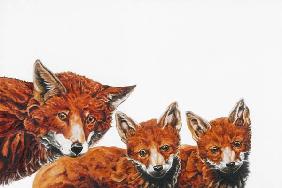 Meet the Foxes 2