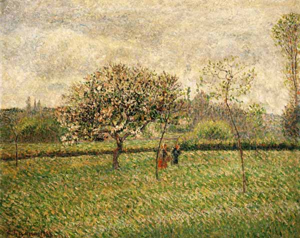 Blossoming apple trees in Eragny. od Camille Pissarro