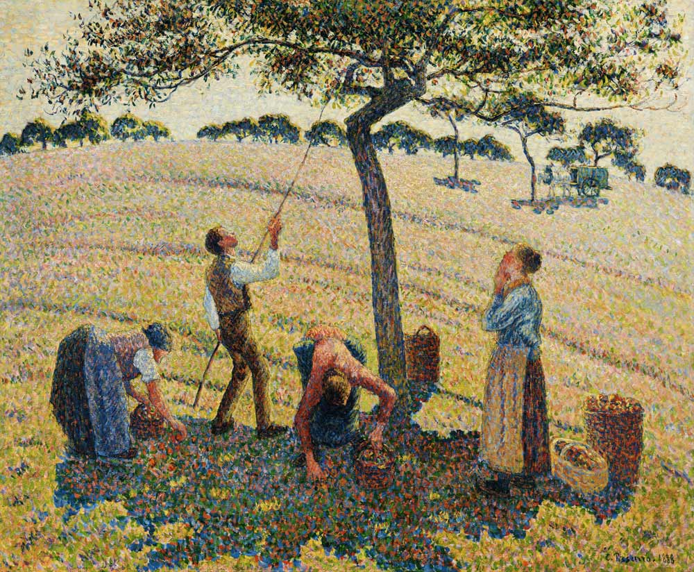 The apple harvest od Camille Pissarro