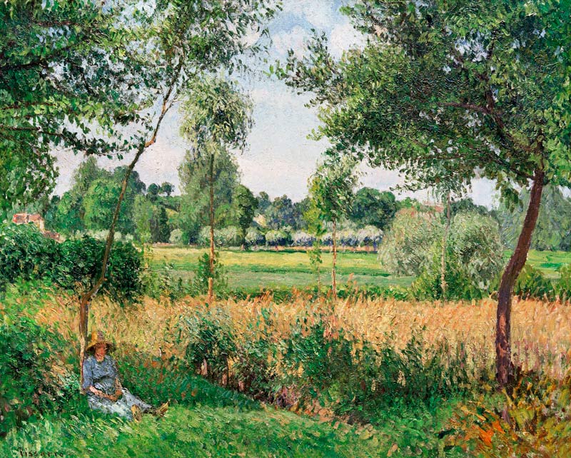 Sunlight, Eragny, tomorrow od Camille Pissarro