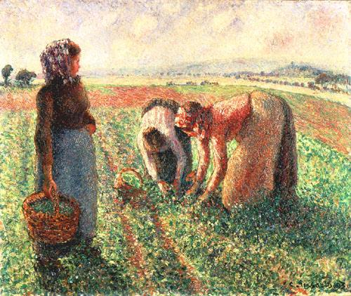 The pea harvest, Eragny od Camille Pissarro
