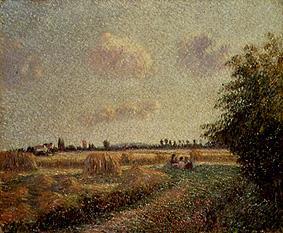 Grain harvest od Camille Pissarro