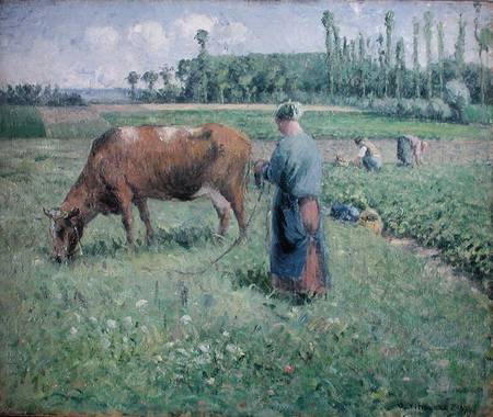 Girl Tending a Cow in Pasture od Camille Pissarro