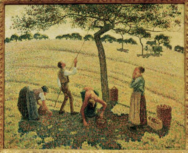Pissarro / The Apple Harvest od Camille Pissarro