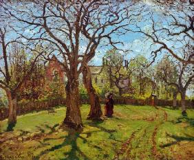 Chestnut trees in Louveciennes, spring