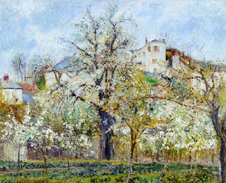 The Vegetable Garden with Trees in Blossom, Spring, Pontoise