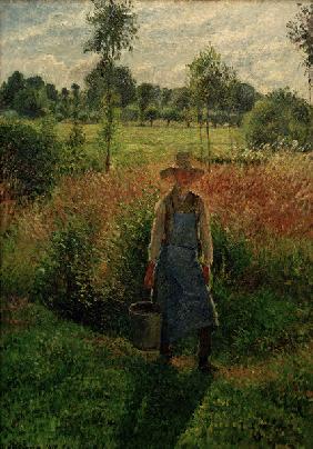 C.Pissarro, The gardener, afternoon sun