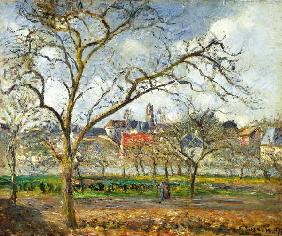 Orchard at Pontoise in early winter
