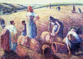 Women Haymaking