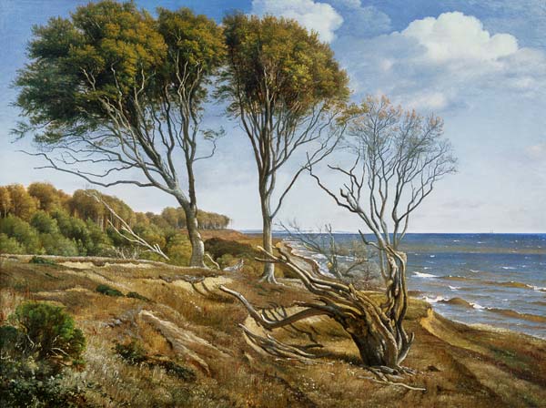 A Coastal Landscape od Carl Frederik Aagaard