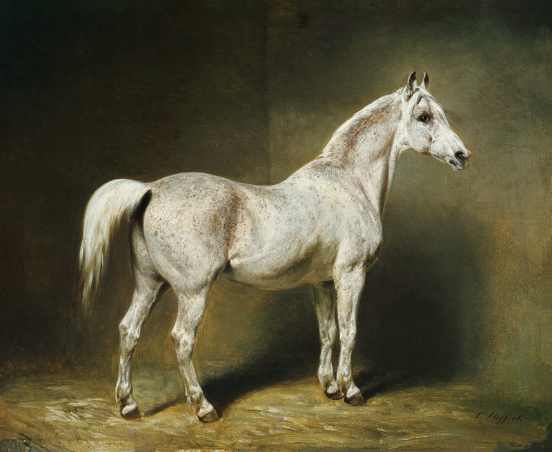 'Beatrice', the white arab saddlehorse of Helmuth Graf von Moltke od Carl Constantin Steffeck