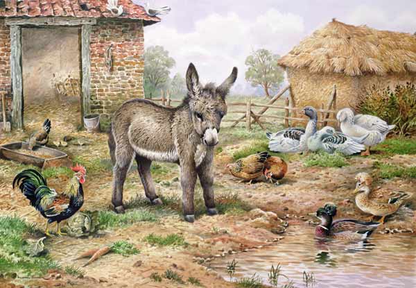 Donkey and Farmyard Fowl  od Carl  Donner