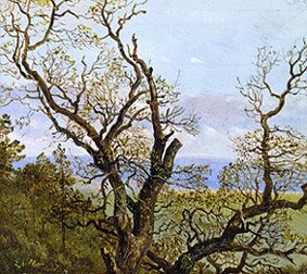 Gnarled oaks in spring od Carl Gustav Carus