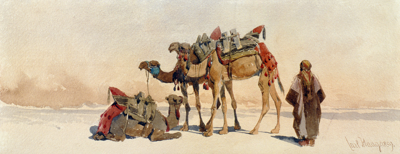 Resting with Three Camels in the Desert od Carl Haag