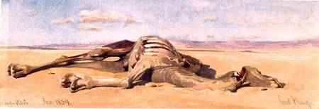 A Dead Camel od Carl Haag