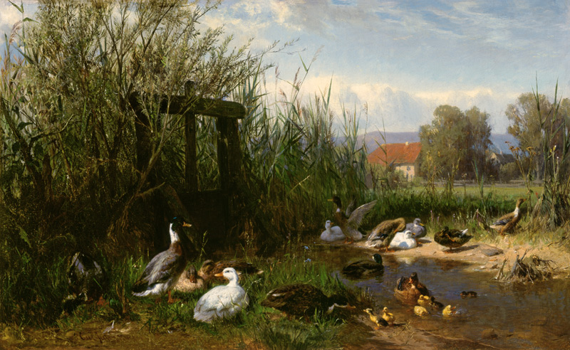 Ducks at the brook od Carl Jutz