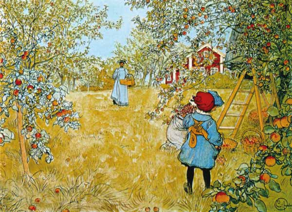 The Apple Harvest od Carl Larsson