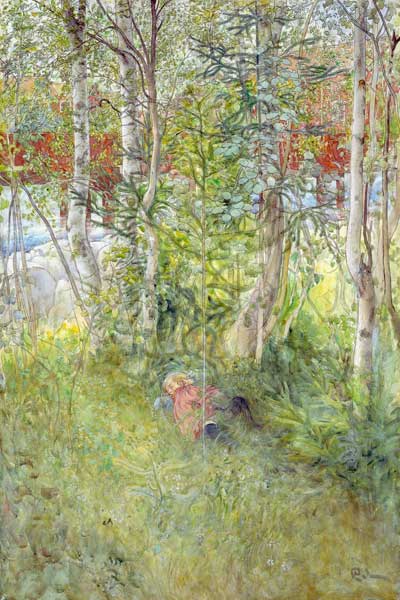 A Nap Outdoors od Carl Larsson