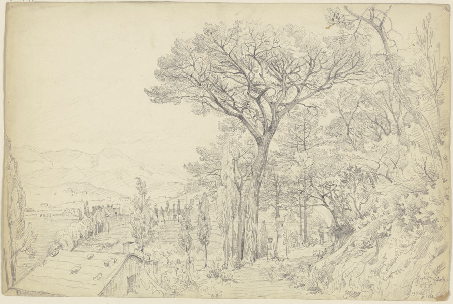 Pines on the Riviera od Carl Morgenstern