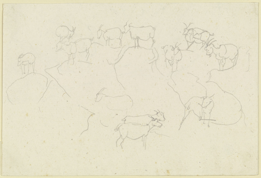 Herd of goats on rocks od Carl Philipp Fohr