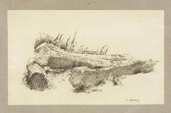 Chipped trees od Carl Theodor Reiffenstein