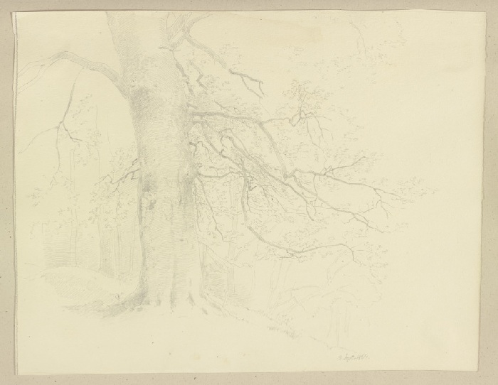 Old tree od Carl Theodor Reiffenstein
