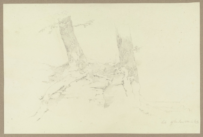 An einer Erdabbruchkante auf steinigem Grund wachsende Bäume od Carl Theodor Reiffenstein