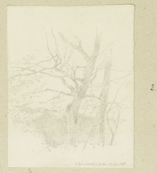 Bäume an der Mauer des von Günderroder Gartens od Carl Theodor Reiffenstein