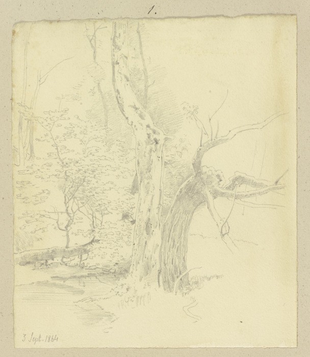 Trees at a stream od Carl Theodor Reiffenstein