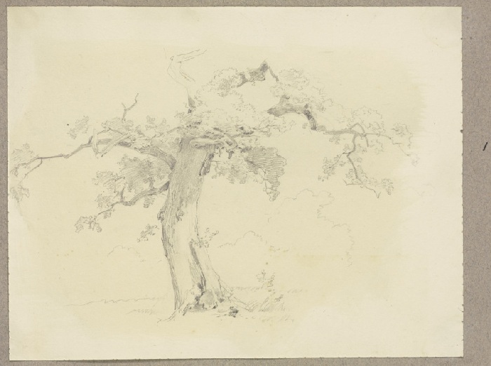 Tree od Carl Theodor Reiffenstein