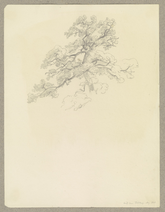 Tree on the Feldberg od Carl Theodor Reiffenstein