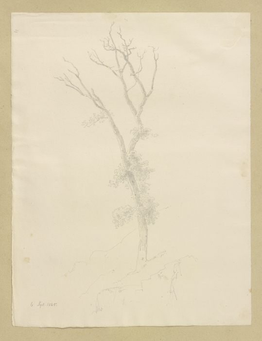 Baum mit abgestorbener Krone od Carl Theodor Reiffenstein
