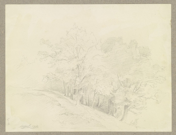 Tree-covered grove od Carl Theodor Reiffenstein