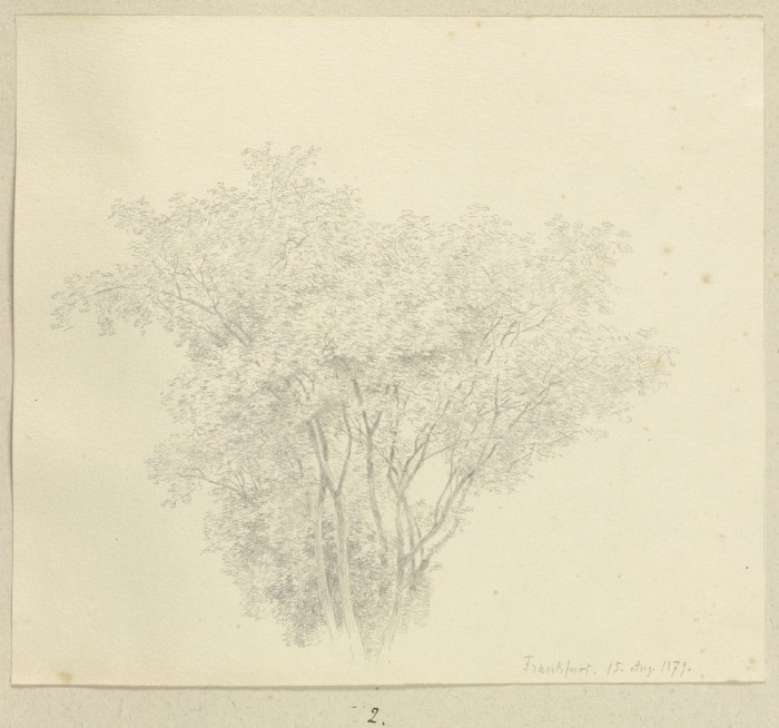Group of trees od Carl Theodor Reiffenstein