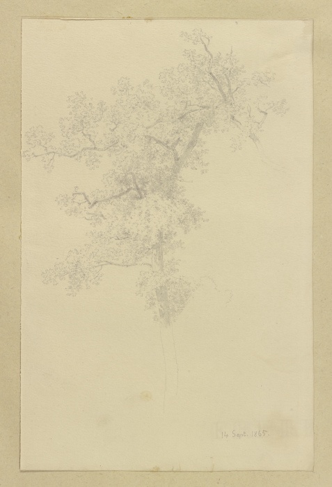 Treetop od Carl Theodor Reiffenstein