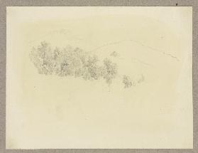 Baumkronen, im Hintergrund angedeutet bewaldete Berge und eine Hütte