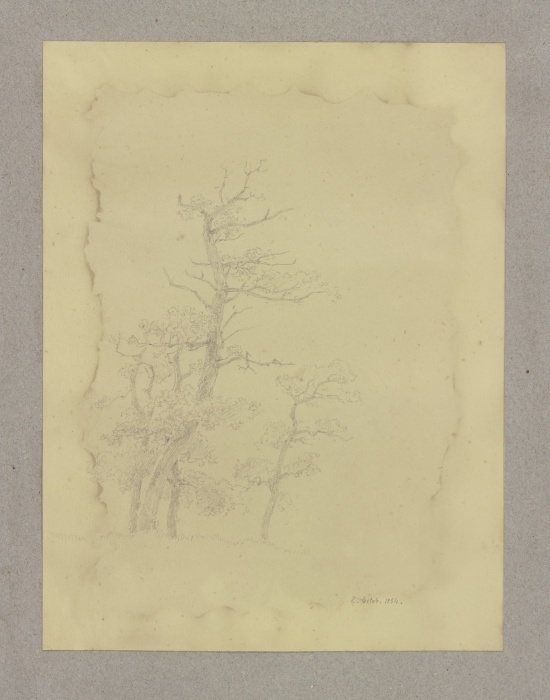 Group of leafless trees od Carl Theodor Reiffenstein