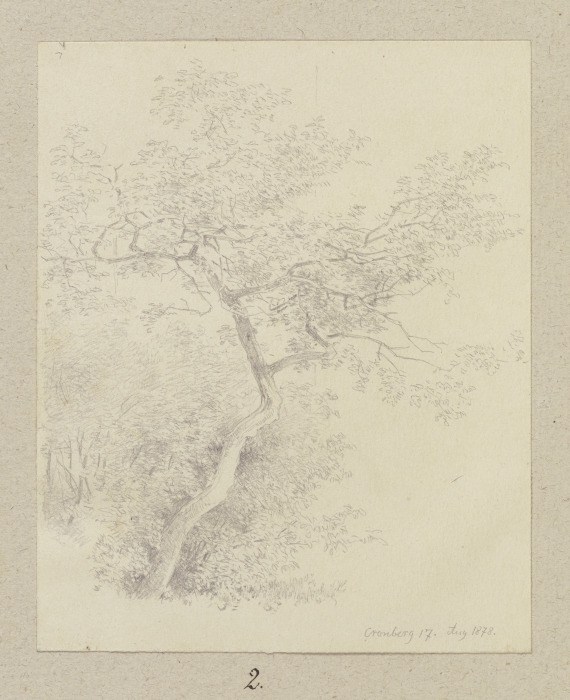 Young tree in Kronberg od Carl Theodor Reiffenstein
